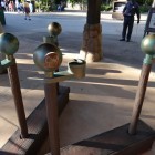 Adam Roth’s 12/18/12 Animal Kingdom Photo Report