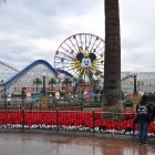 Conner Purzycki’s 11/29/13 DLR Photo Report