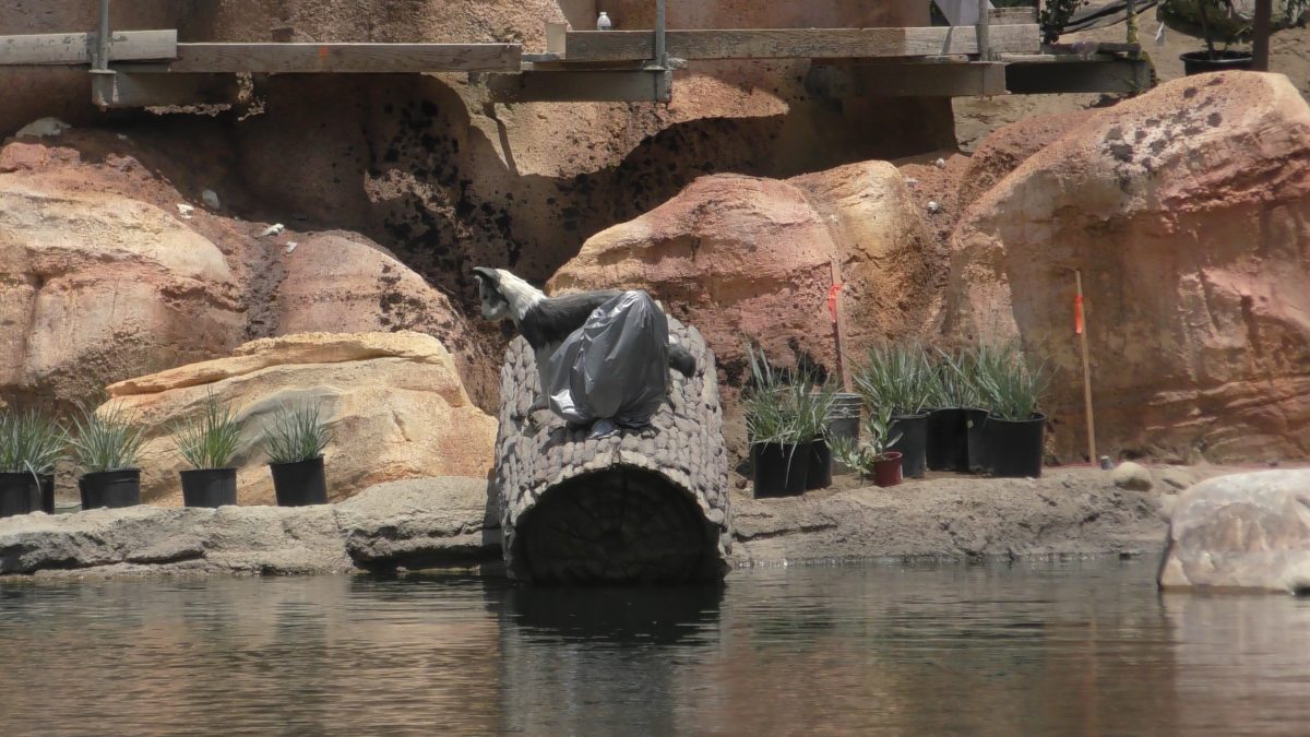 Star Wars Land construction at Disneyland Park, June 28th, 2017