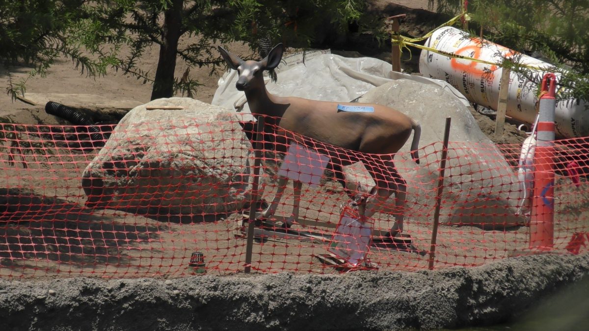 Star Wars Land construction at Disneyland Park, June 28th, 2017