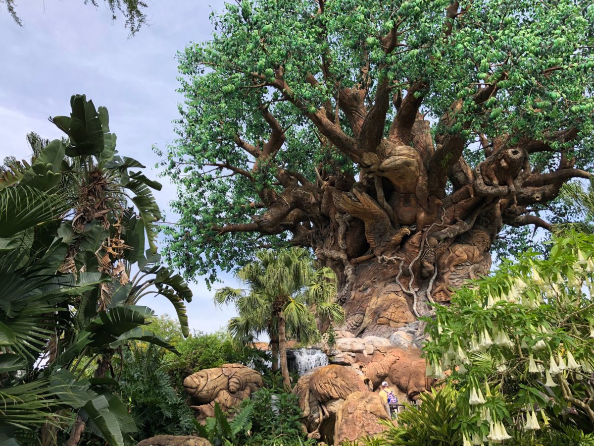 tree of life reopening animal kingdom april 2019 2