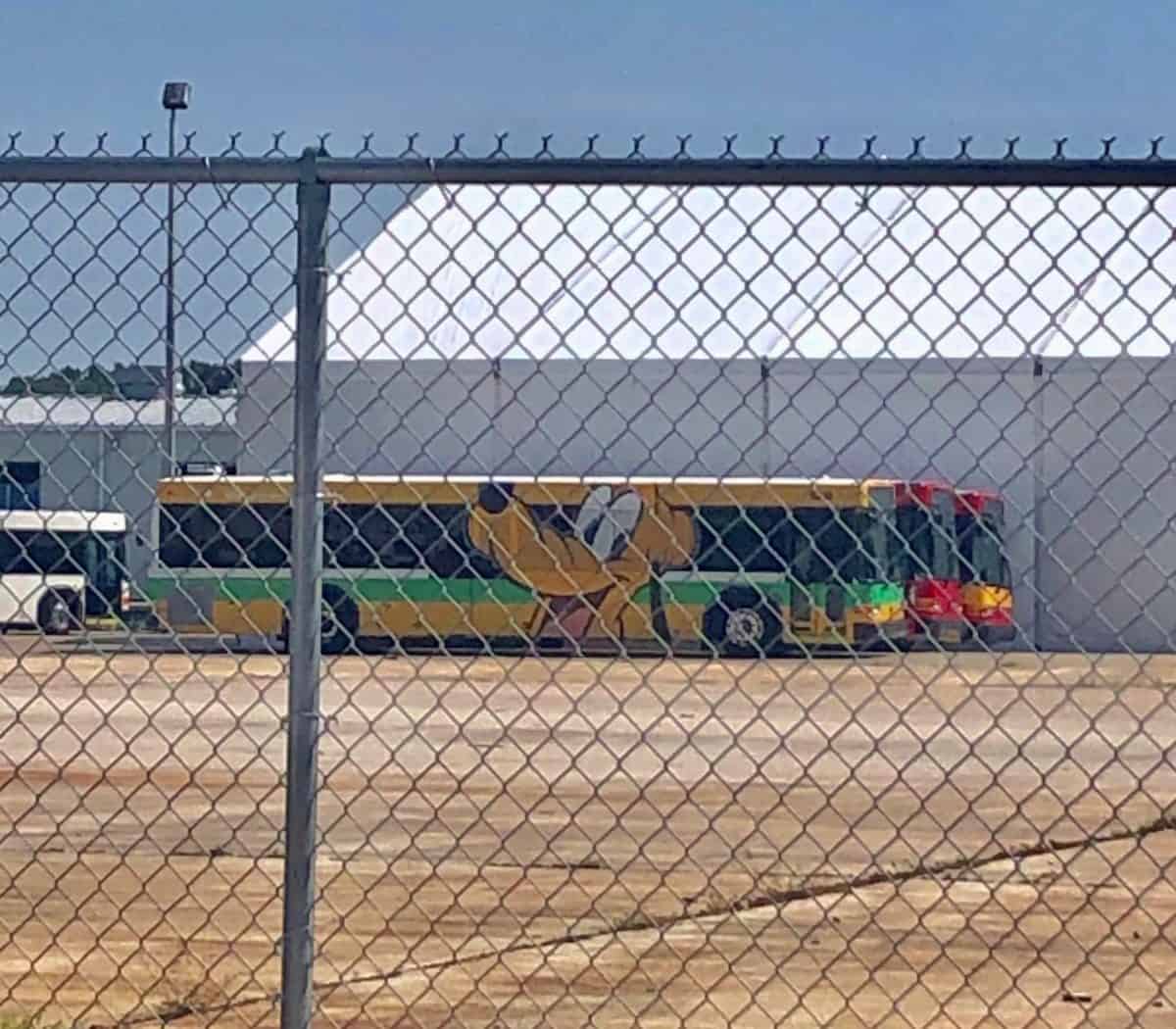 walt disney world character bus wraps july 2019 1