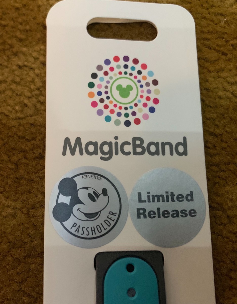New Goofy 2019 Passholder MagicBand