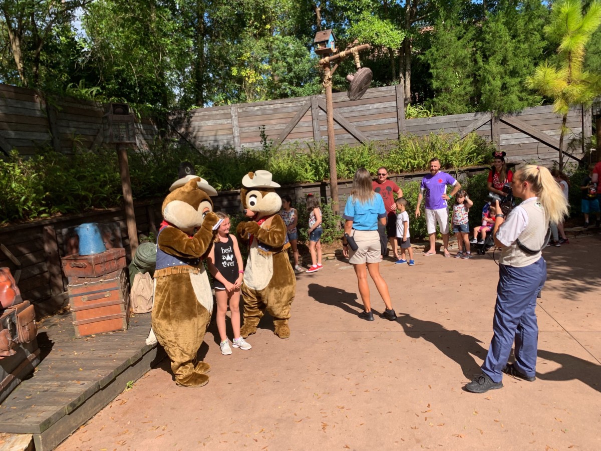 chip and dale splash mountain meet and greet