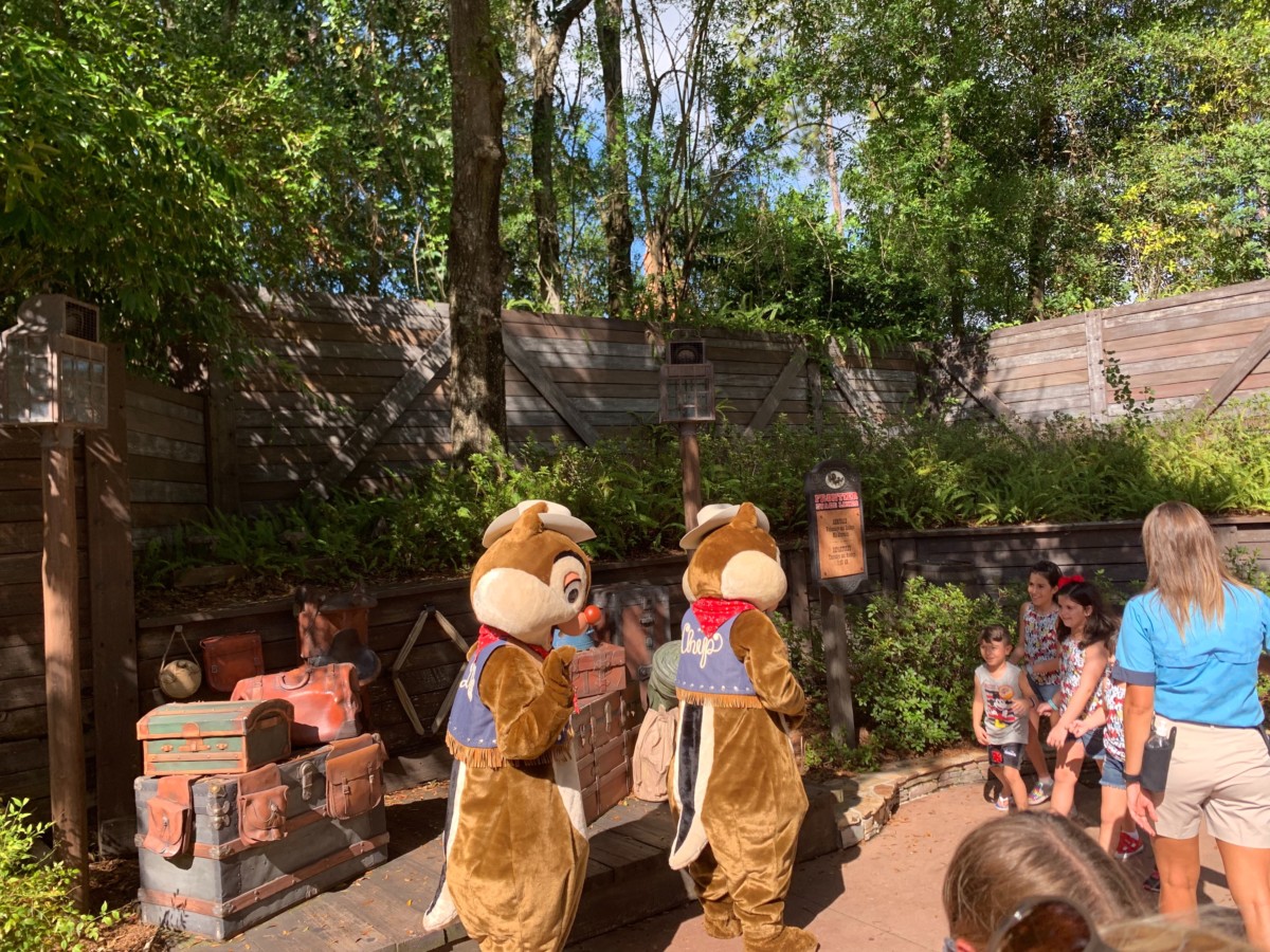 chip and dale splash mountain meet and greet