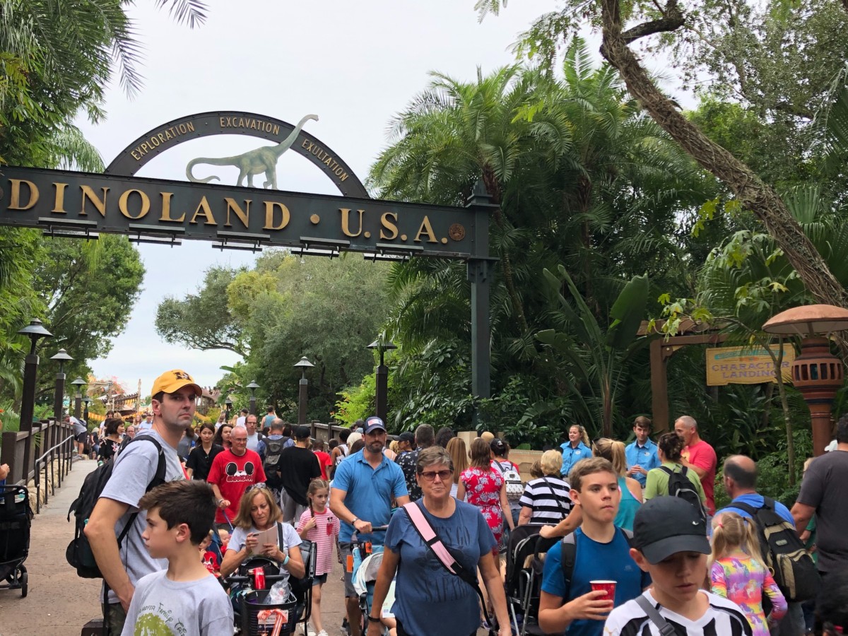 discovery island character landing