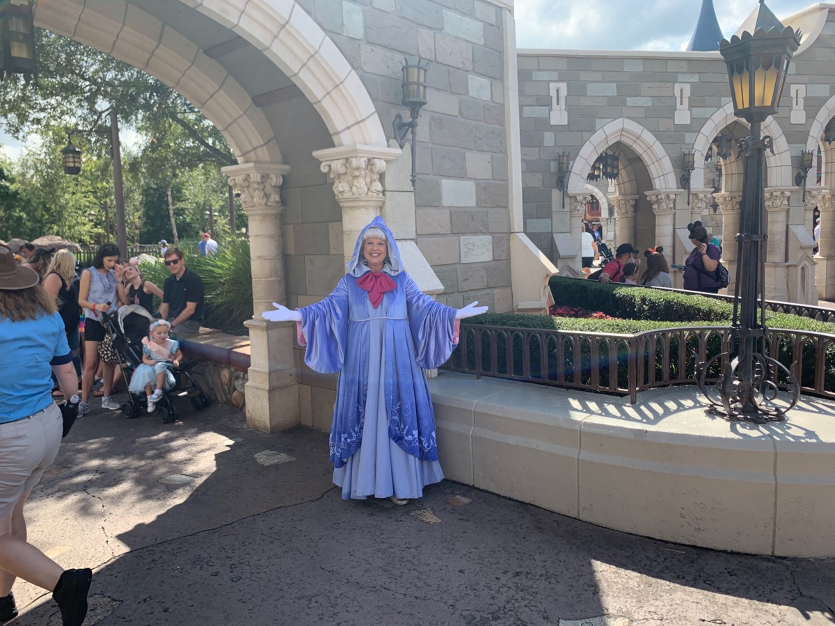fairy godmother magic kingdom character meet and greet castle wall