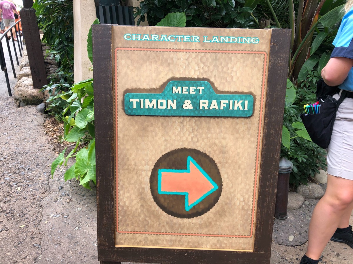 rafiki timon meet and greet dak 2