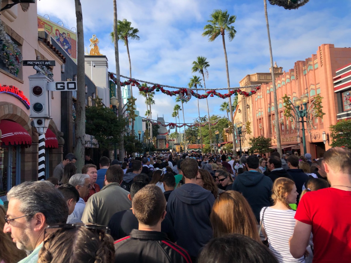 DHS Disneys Hollywood Studios Photo Report 11 16 19 1