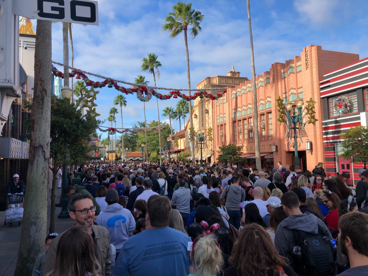 DHS Disneys Hollywood Studios Photo Report 11 16 19 2