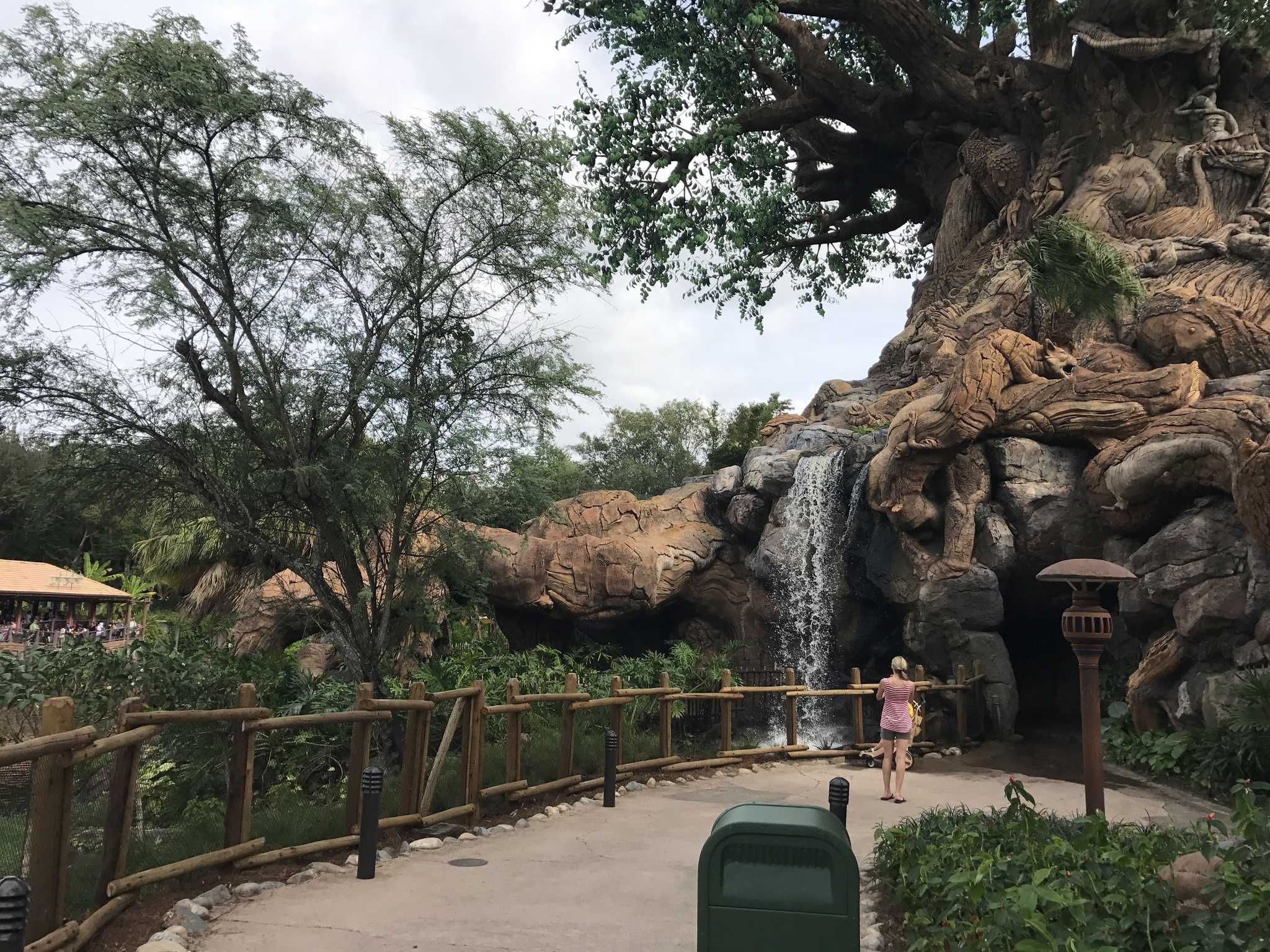 PHOTOS, VIDEO Discovery Island Trail and Kangaroos Return to Disney's