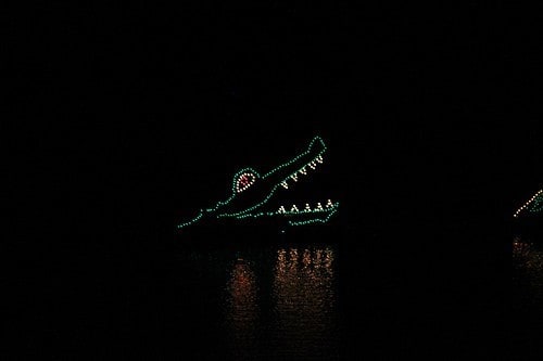 crocodile-at-Disney