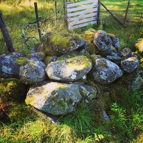 Troll rocks!