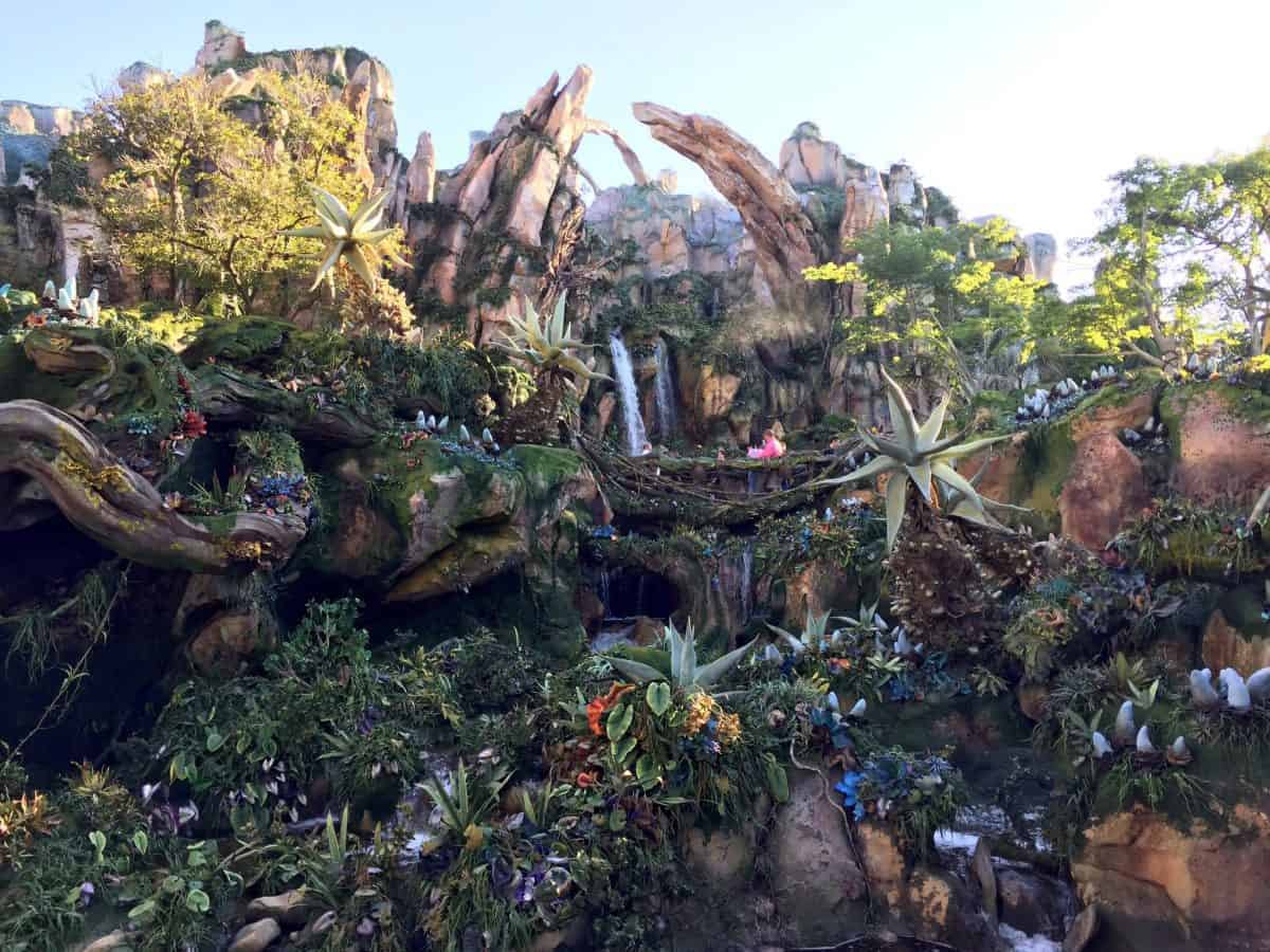 Inside Pandora - The World of AVATAR at Disney's Animal Kingdom