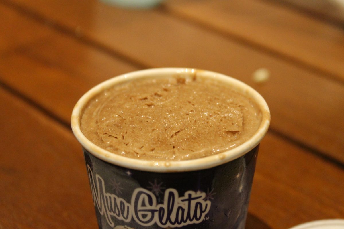 Geyser Point Dark Roasted Coffee Infused Chocolate Gelato