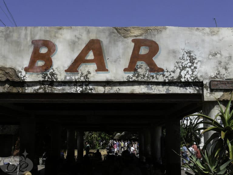 Get thee to a bar – Animal Kingdome