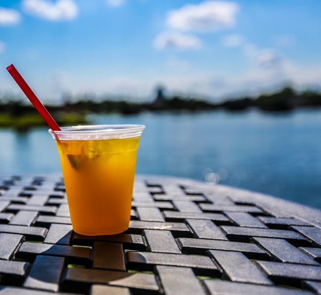 Epcot Food and Wine 2018 China