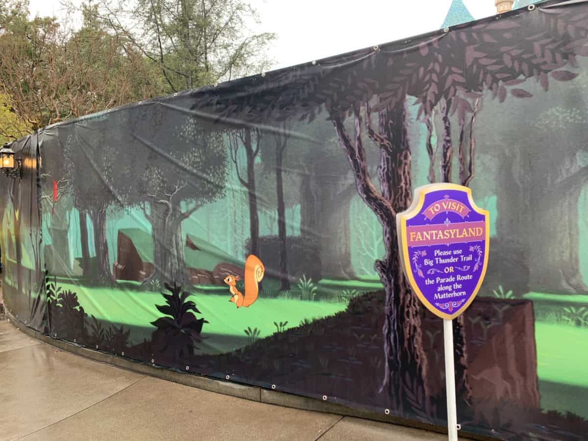 Disneyland Rainy Day Photo Report
