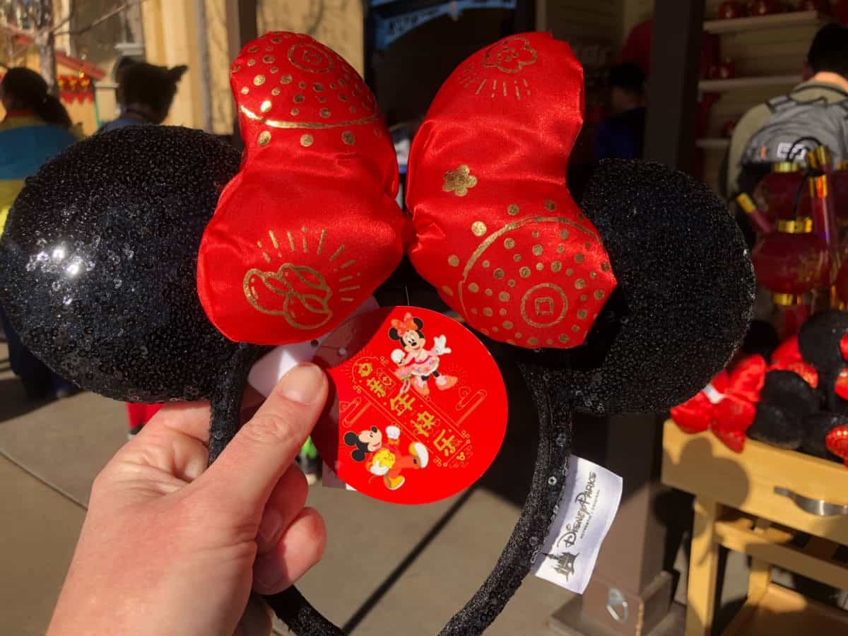 world of disney wdw branded bags january 2019 