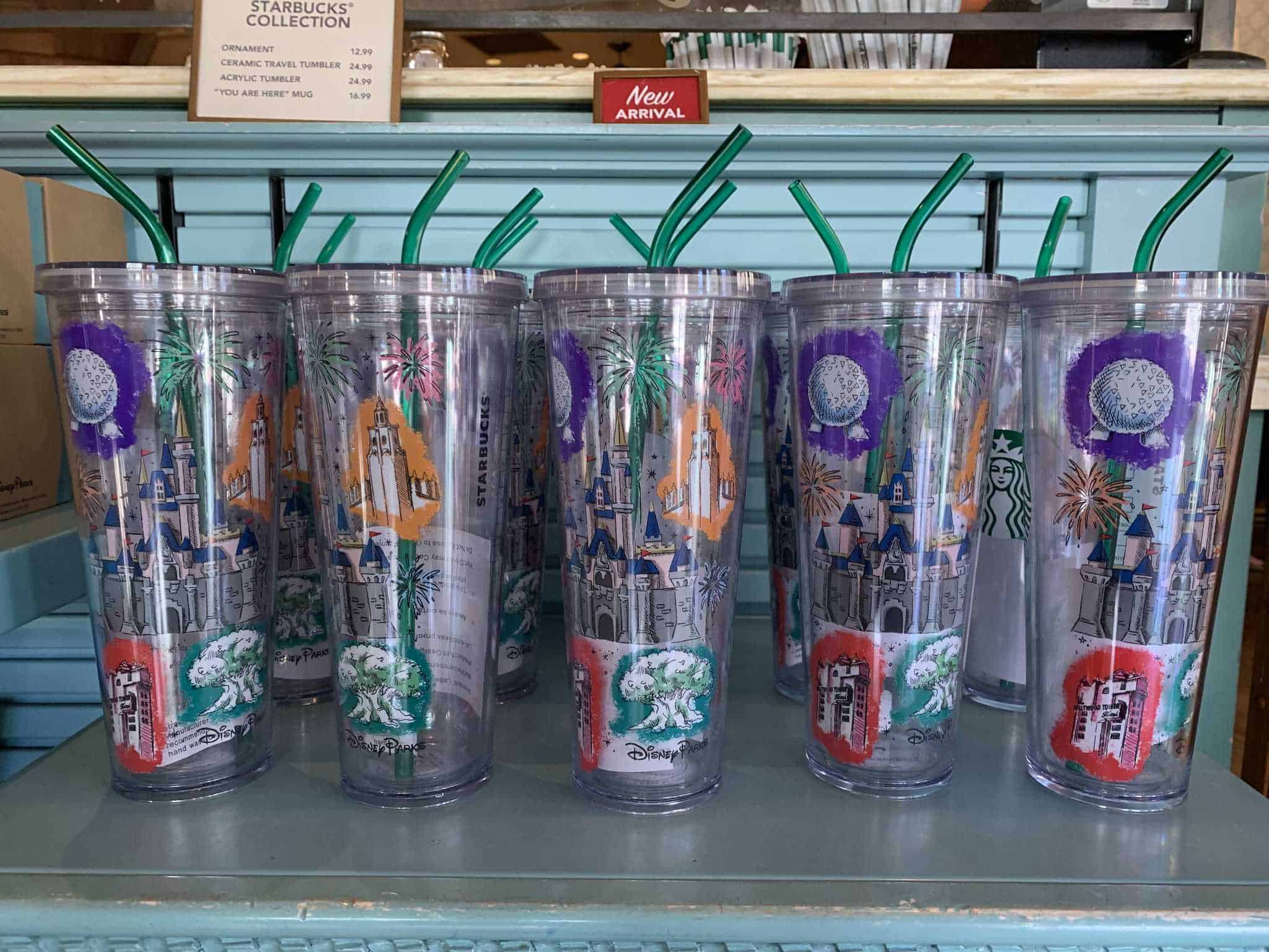 Disney Parks WDW 2019 Starbucks Parks Icon Acrylic Drink Tumbler CUP 24oz Straw