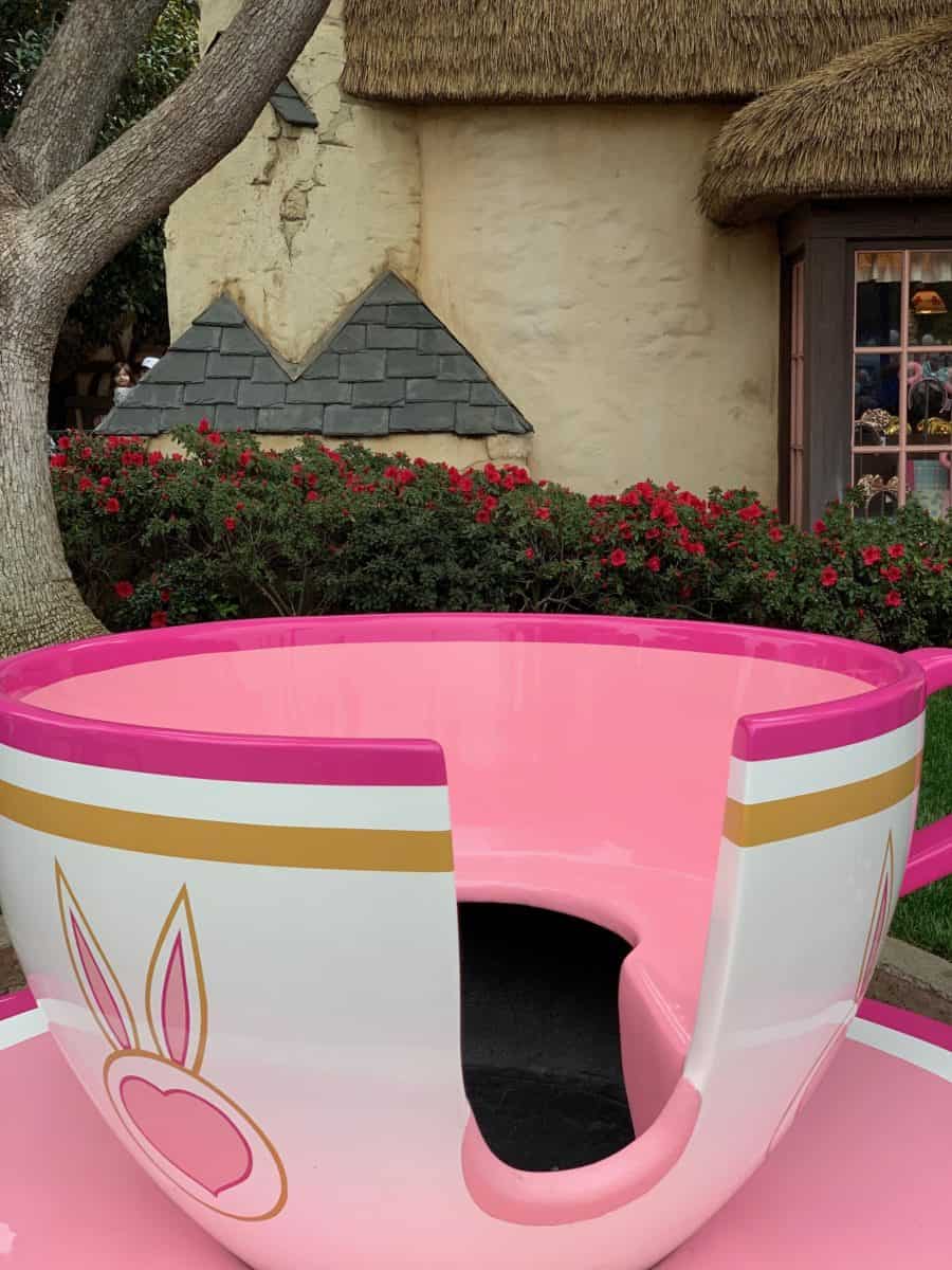 Disneyland Park Tea Cup Photo Op