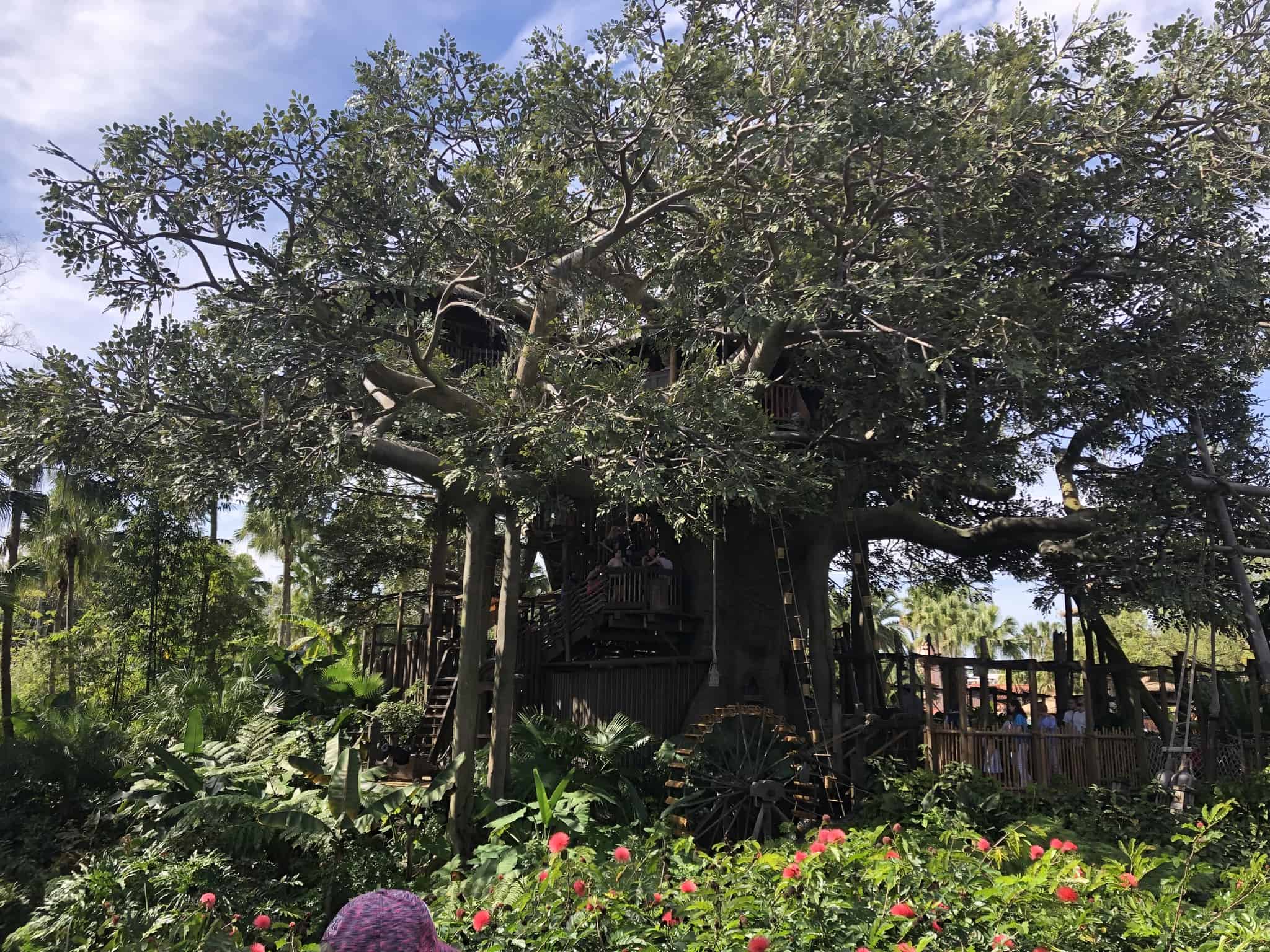 Swiss Family Treehouse At The Magic Kingdom Closing For Refurbishment In Wdw News Today