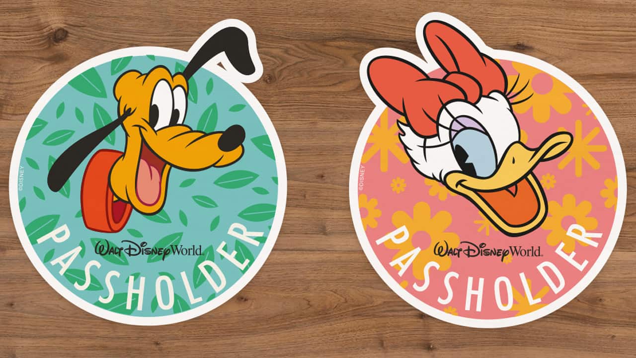2019 Walt Disney World Annual Passholders Magnets