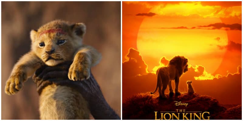 Video The Lion King Special Look New Poster Released Wdw
