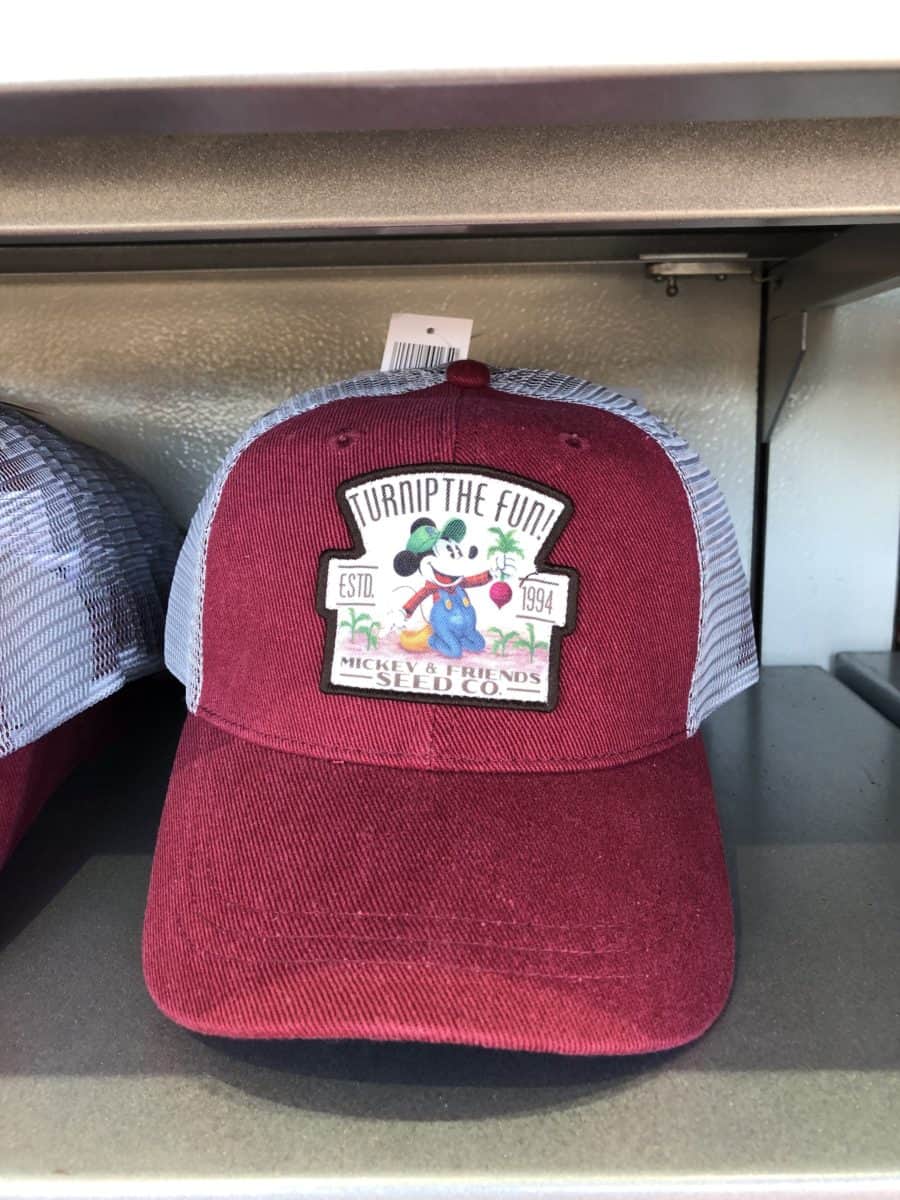 epcot hat