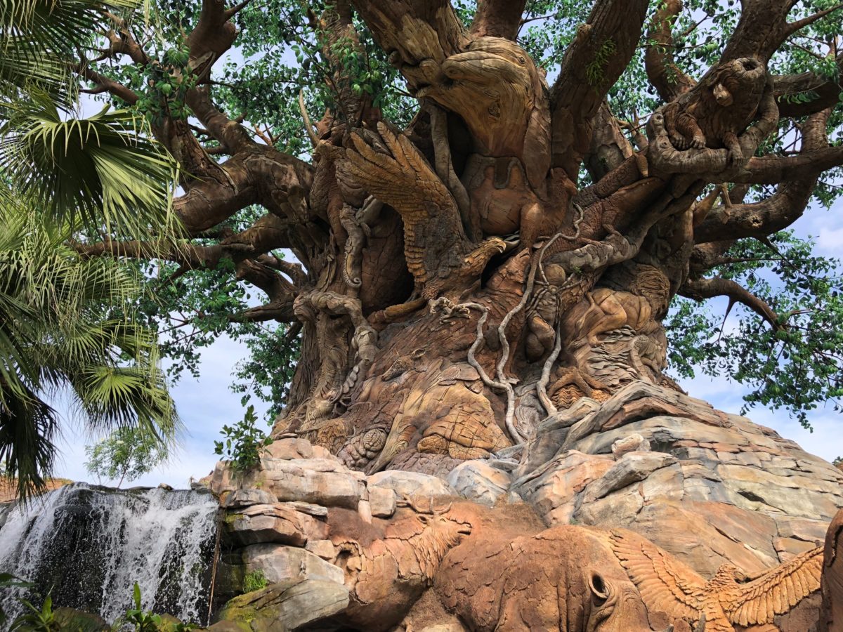 PHOTOS: Tree of Life Garden Trail Reopens After Refurbishment at Disney