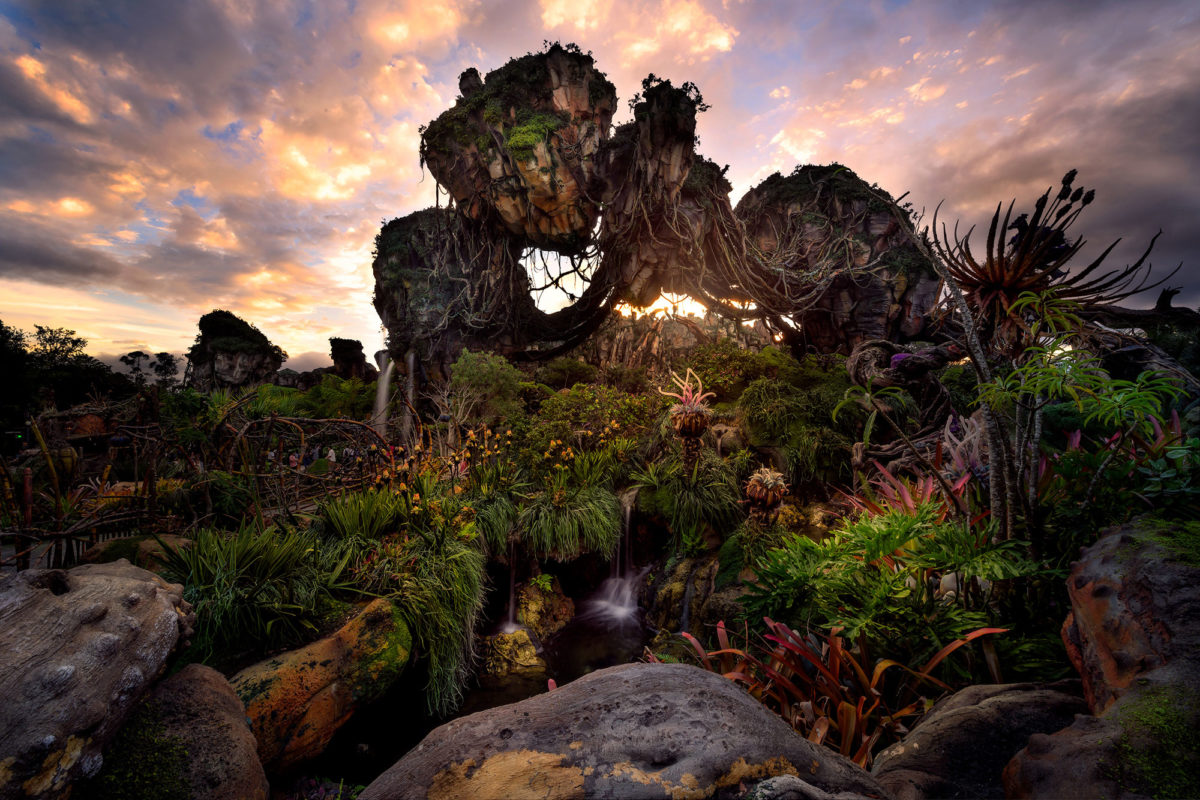 New ETicket Attraction Slated for Disney's Animal Kingdom in 2024