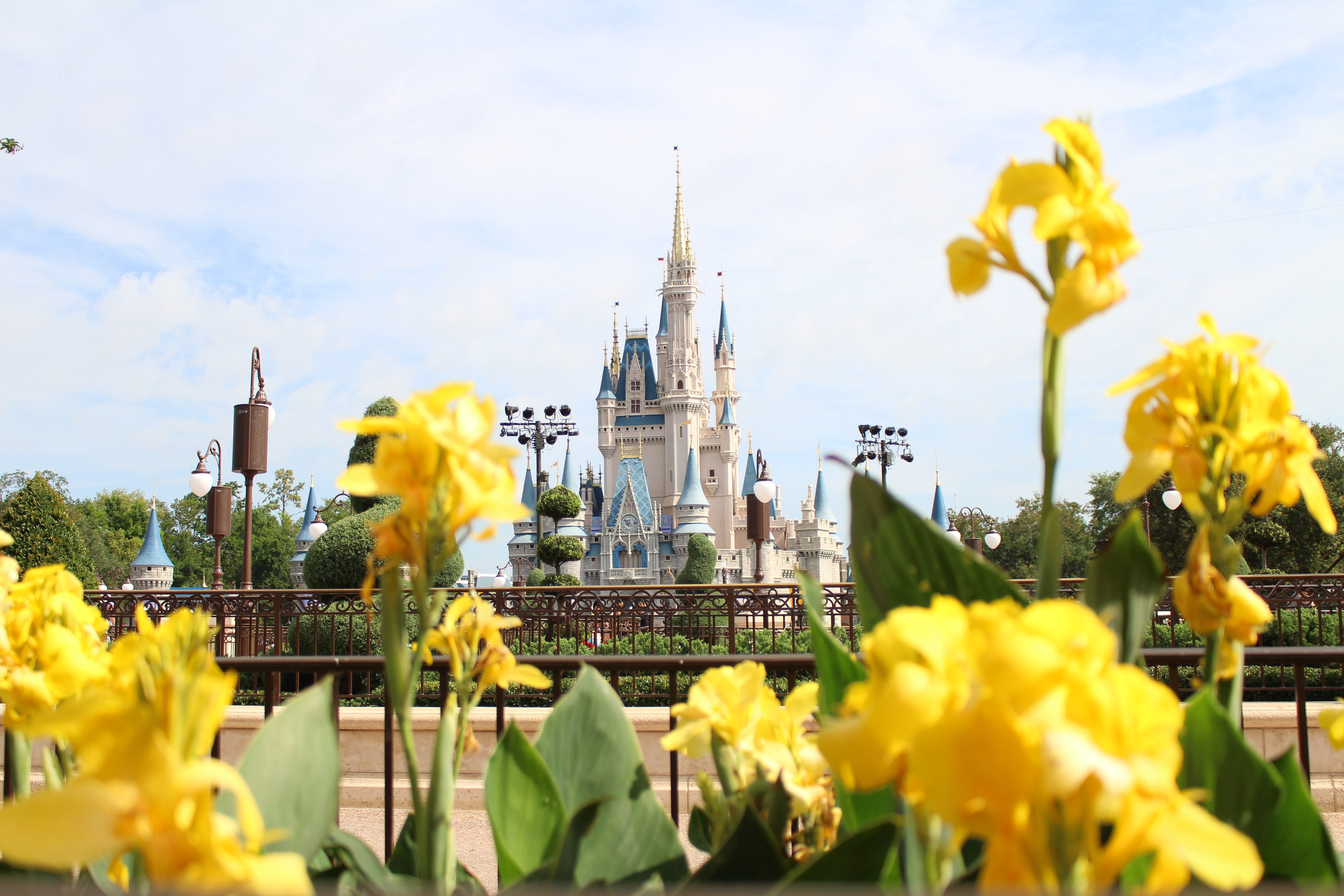 magic kingdom princess castle