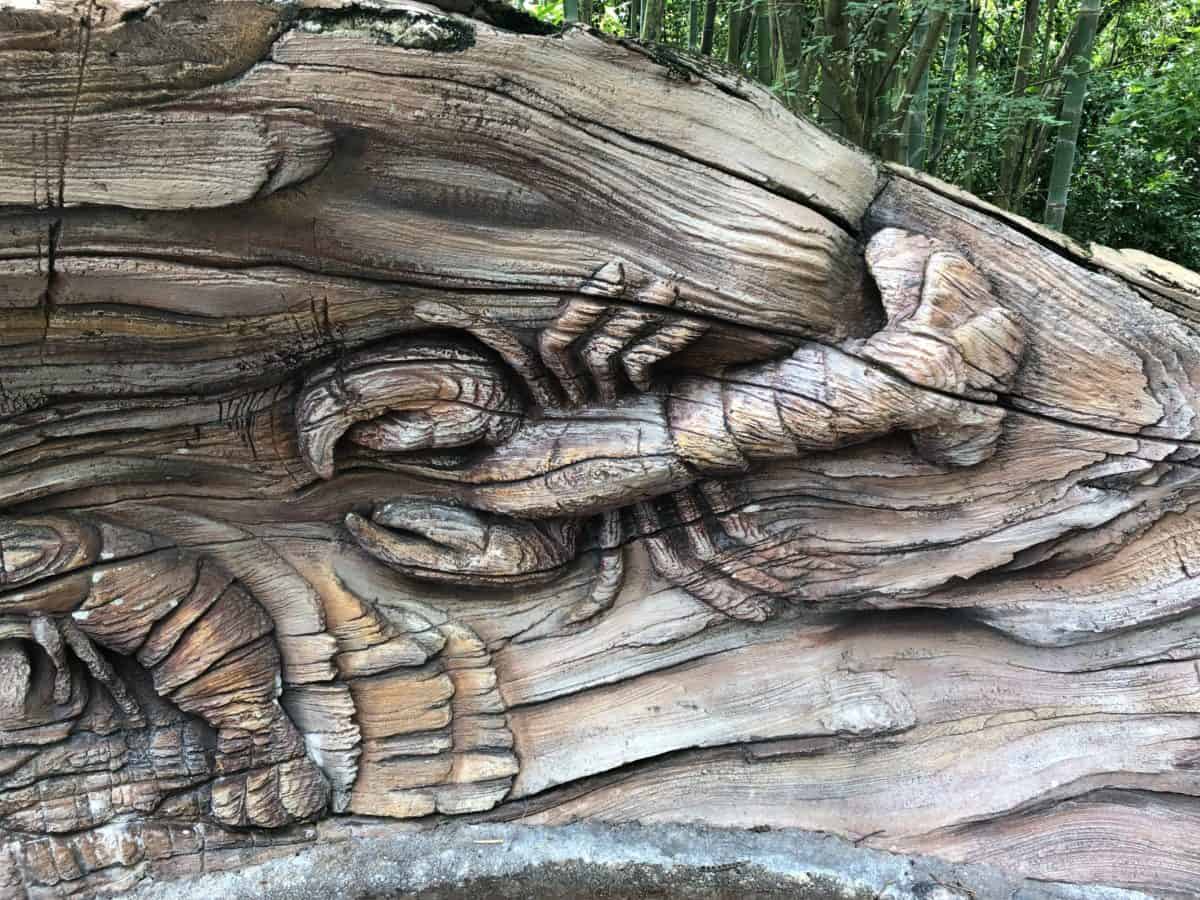 lobster outline in the Tree of Life