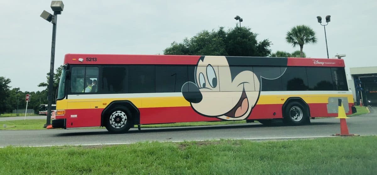 is there a bus from disney springs to magic kingdom
