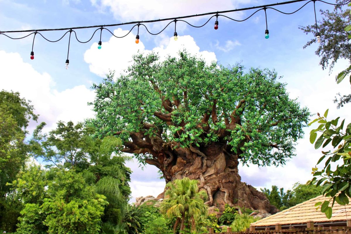 Disney's animal kingdom tree of life