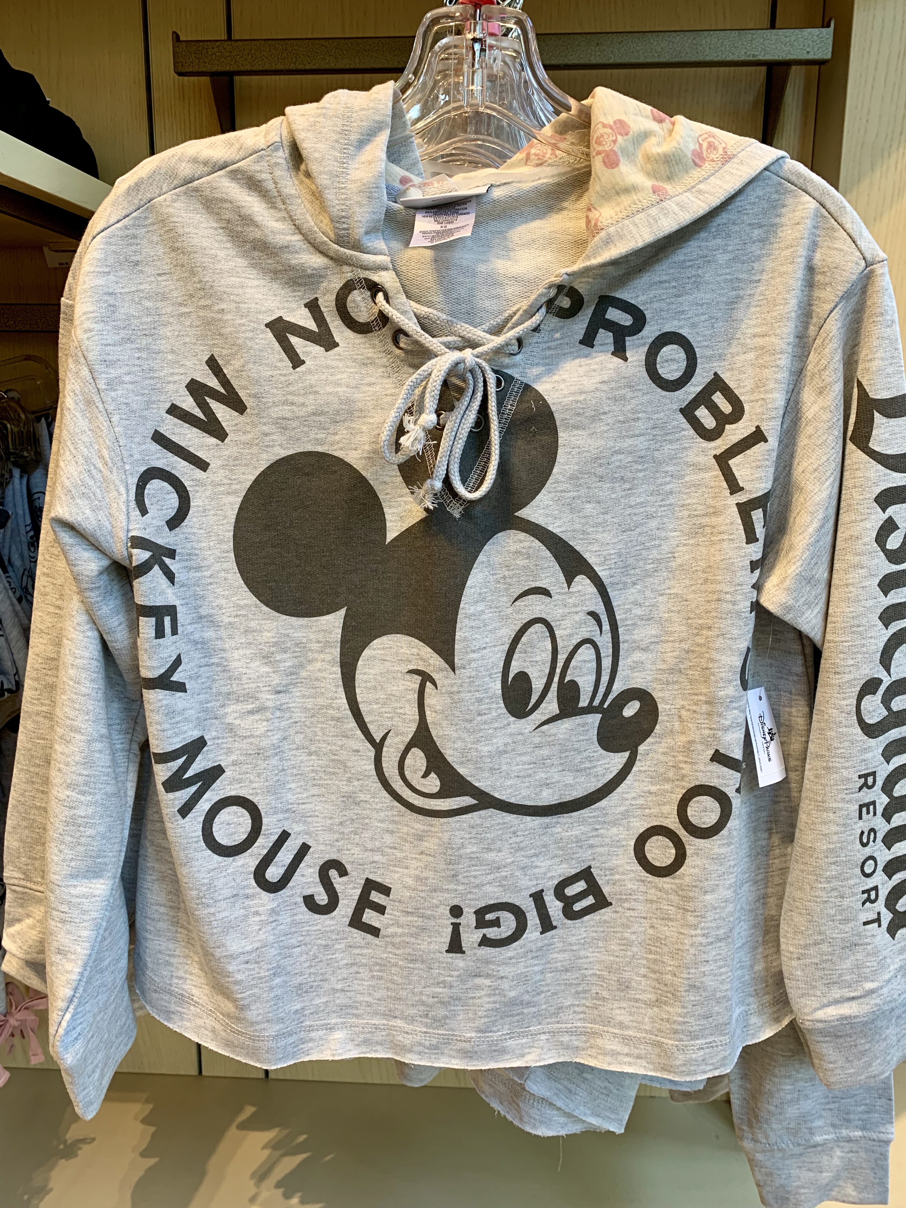 disneyland sweatshirt womens