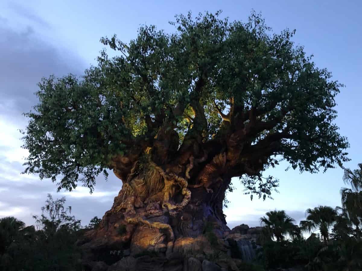 Tree-of-Life-Animal-Kingdom-Twilight-by-Joshua-Meyer