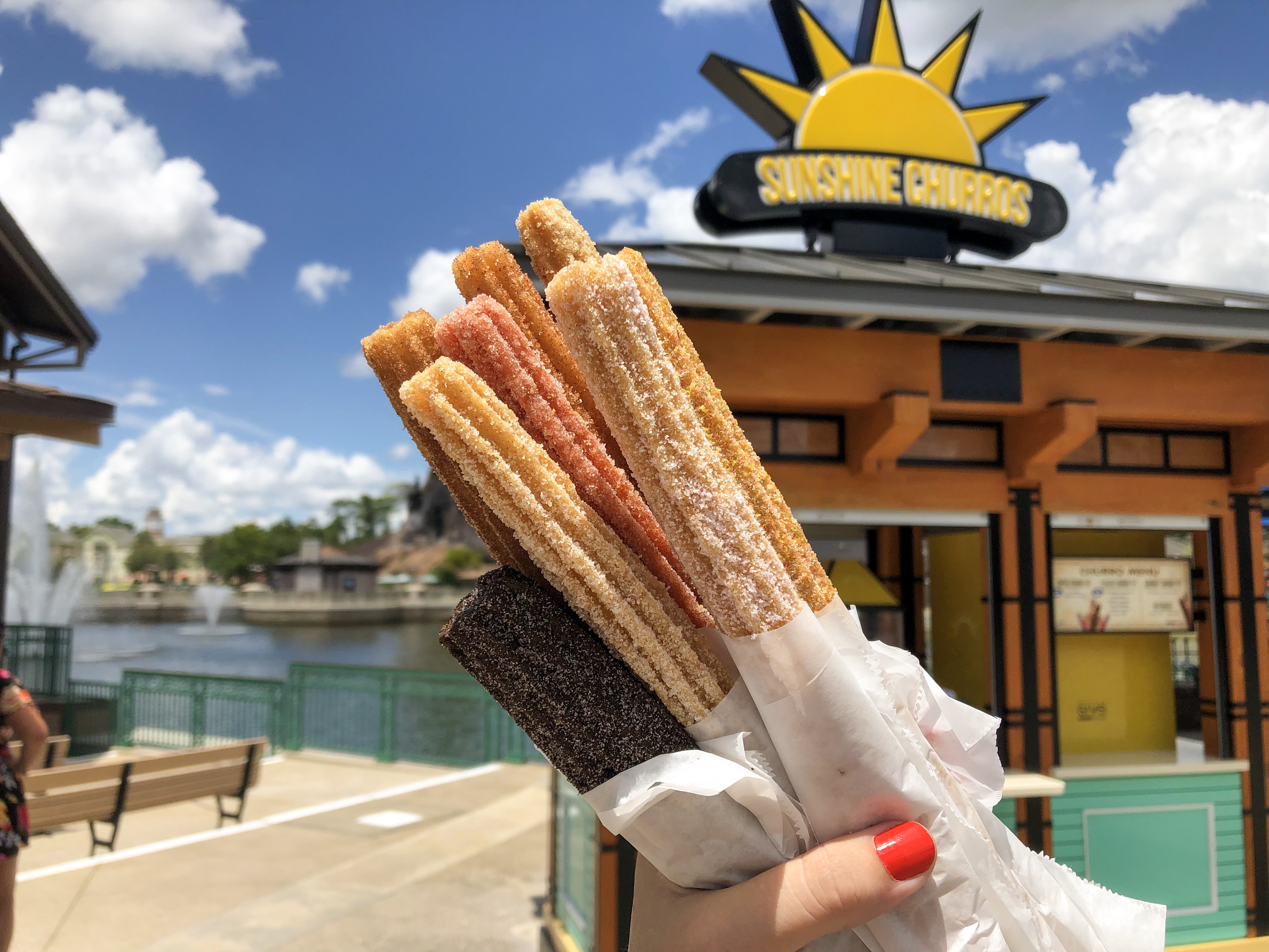 REVIEW New Sunshine Churros Cart Brings Nine Different Delicious Flavors of Churros to Disney
