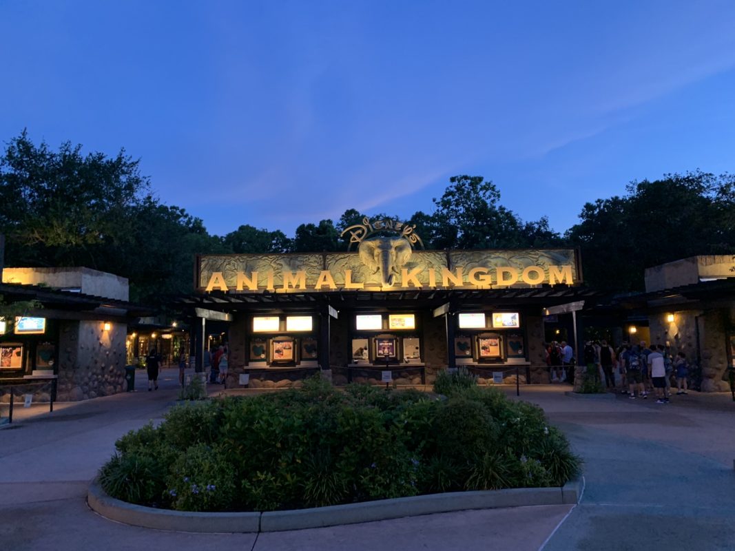 PHOTO REPORT: Animal Kingdom 8/29/19 (No Crowds for Extra, Extra Magic