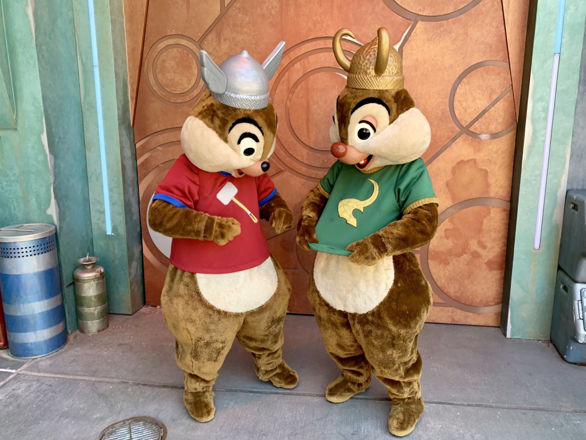 Chip and Dale Dressed as Thor and Loki Meet and Greet Disney California Adventure 