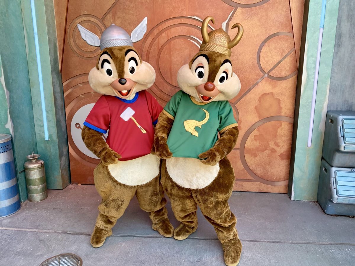 Chip and Dale Dressed as Thor and Loki Meet and Greet Disney California Adventure