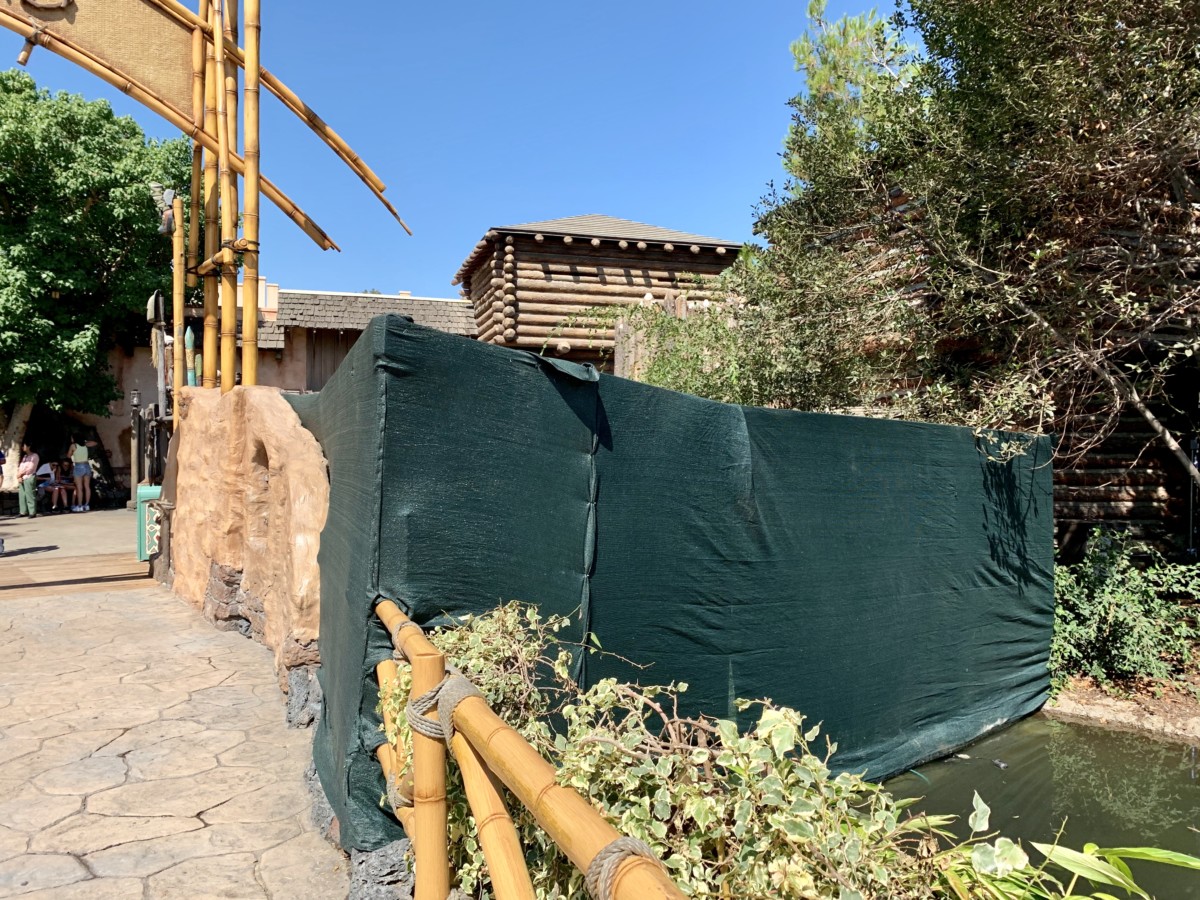 Disneyland Photo Report 8:28:19 Adventureland Refurbishment, Character Sightings, and Pumpkin Cream Cold Brew and more