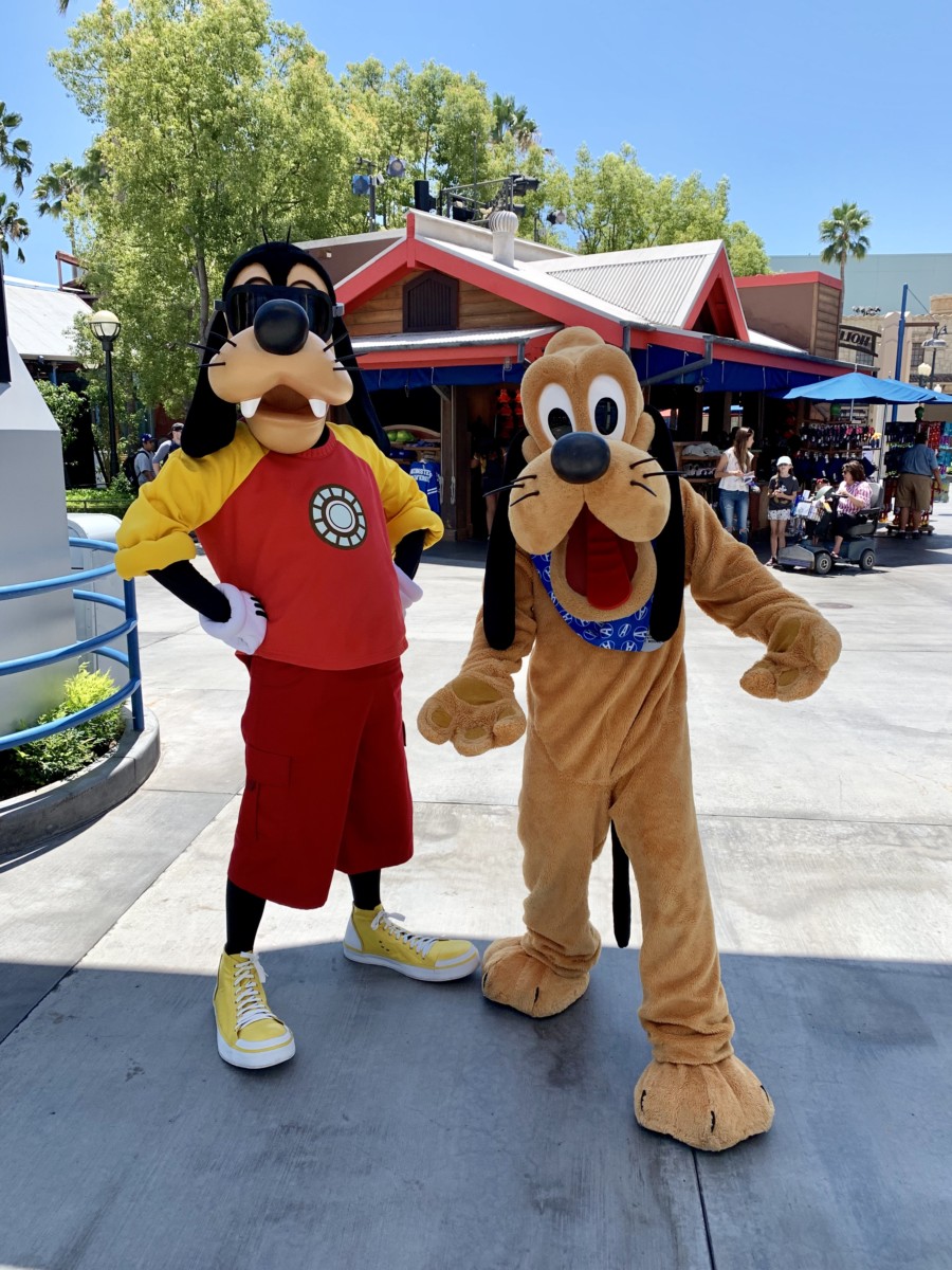 Goofy Dressed as Iron Man and Pluto Dressed in an Avengers Bandana Meet and Greet at Disney California Adventure