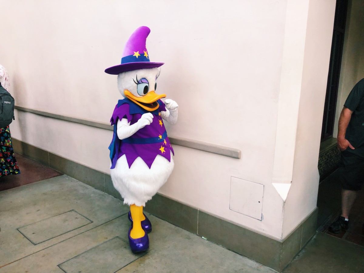 daisy halloween
