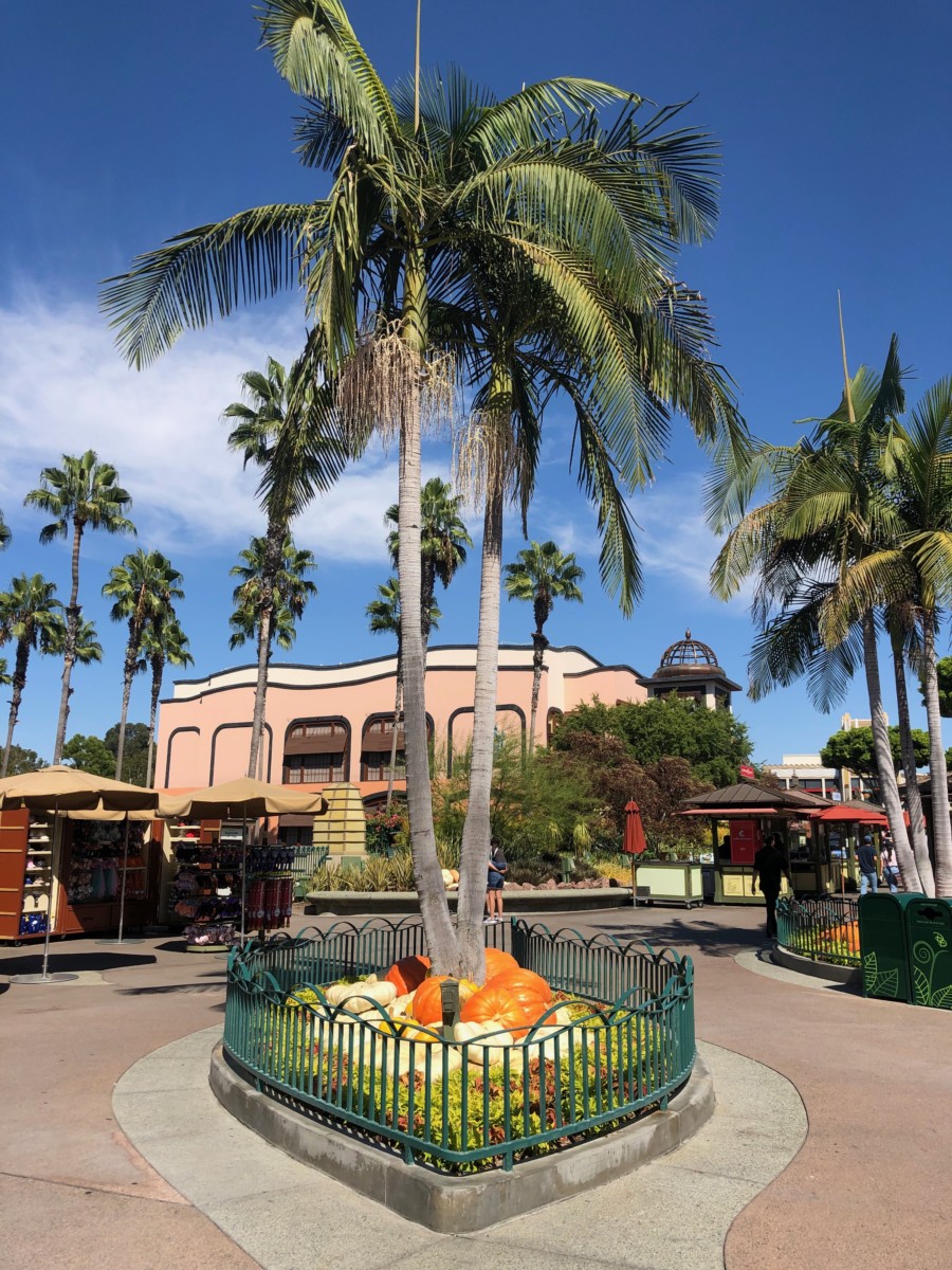 Photo Report Downtown Disney 9 15 19 Halloween Pumpkins Oogie