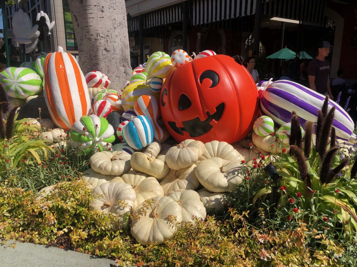 PHOTO REPORT: Downtown Disney 9/15/19 (Halloween Pumpkins, Oogie Boogie ...