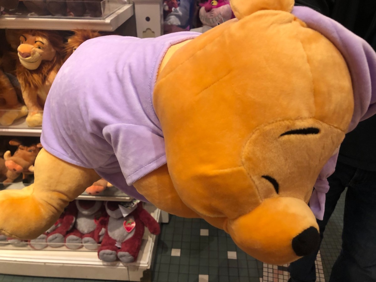 disney dream friends pooh