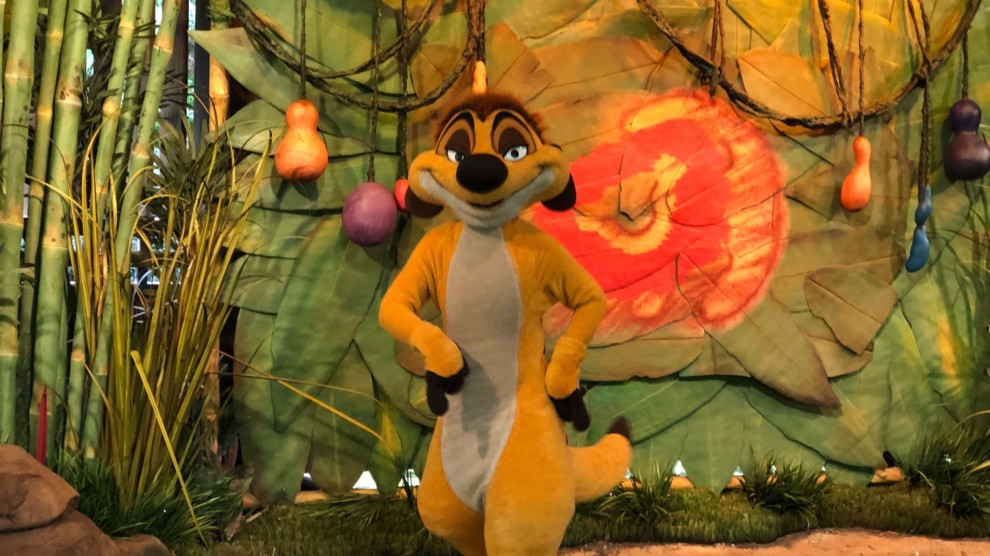 Photos Timon And Rafiki Meet And Greet Now Located At Discovery