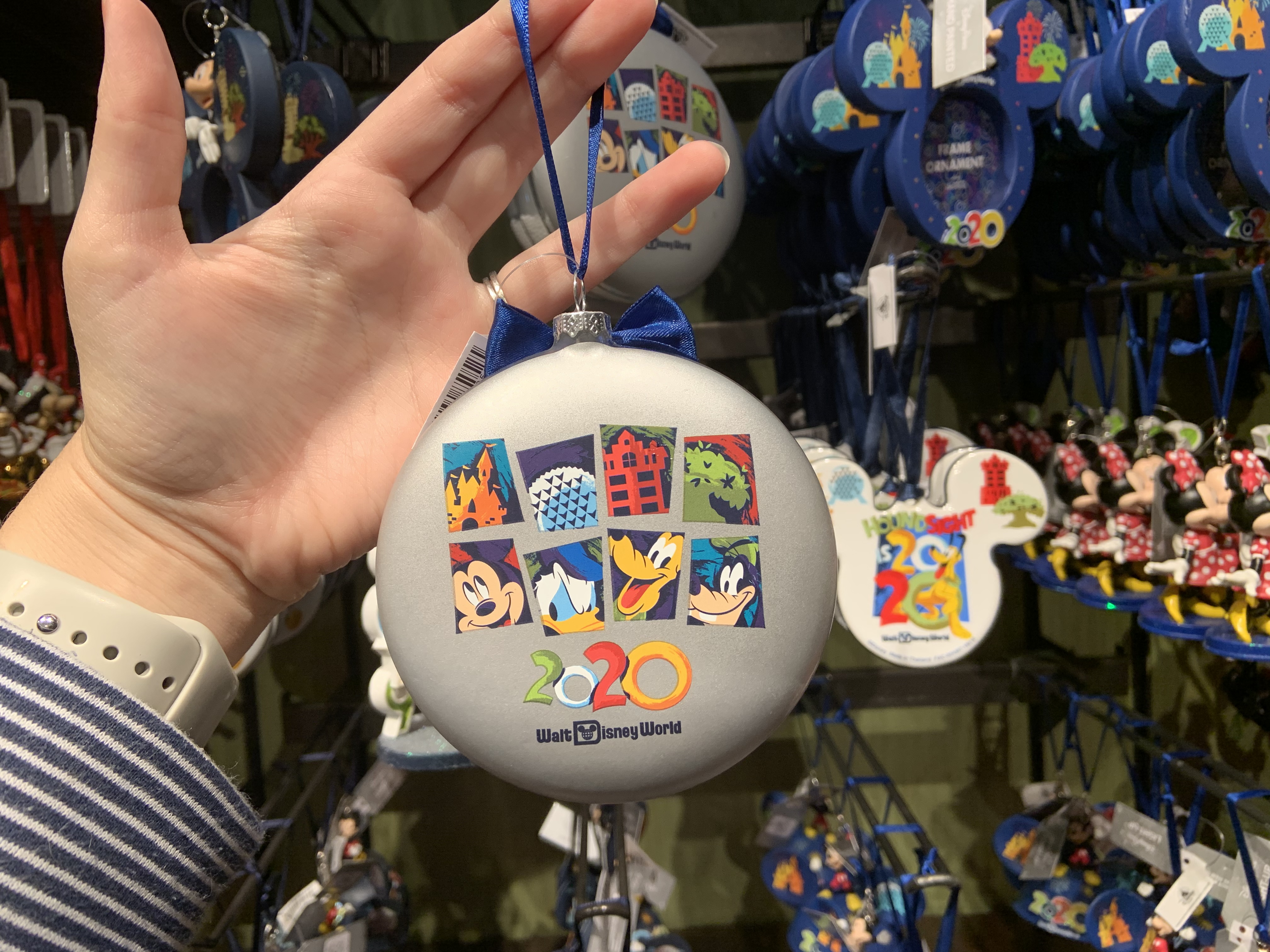 PHOTO REPORT: Disney’s Animal Kingdom 11/26/19 (New Merry Menagerie Owl