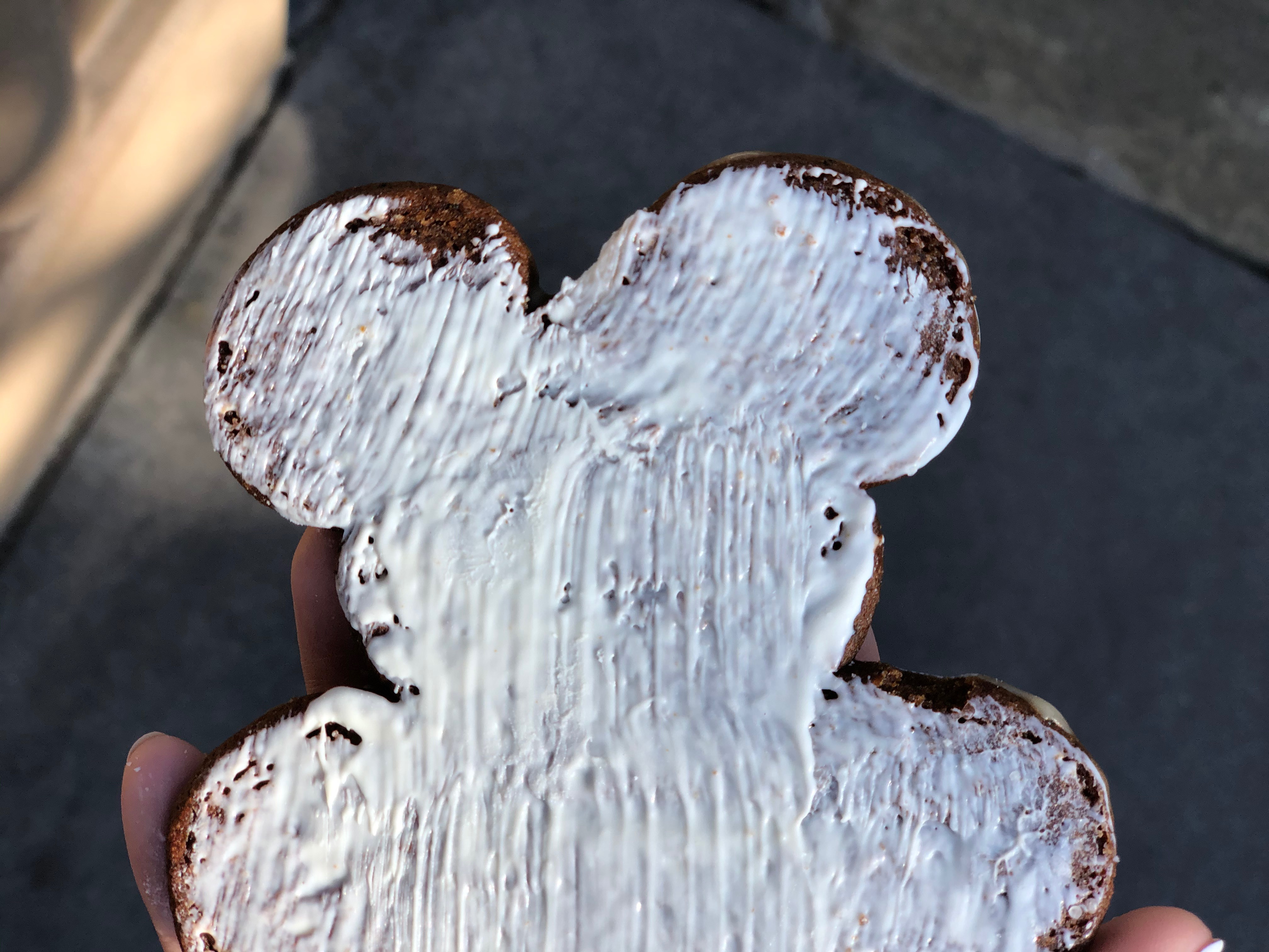 Disneyland 2019 Gingerbread Man 03